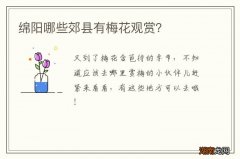 绵阳哪些郊县有梅花观赏？