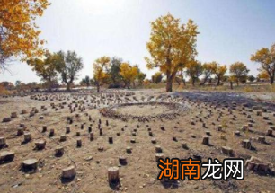 尼泊尔太阳墓有什么秘密?为什么墓主都是男性?