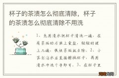 杯子的茶渍怎么彻底清除，杯子的茶渍怎么彻底清除不用洗