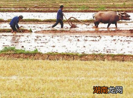 古代官员退休之后为什么要会老家 其实回乡也是无奈之举
