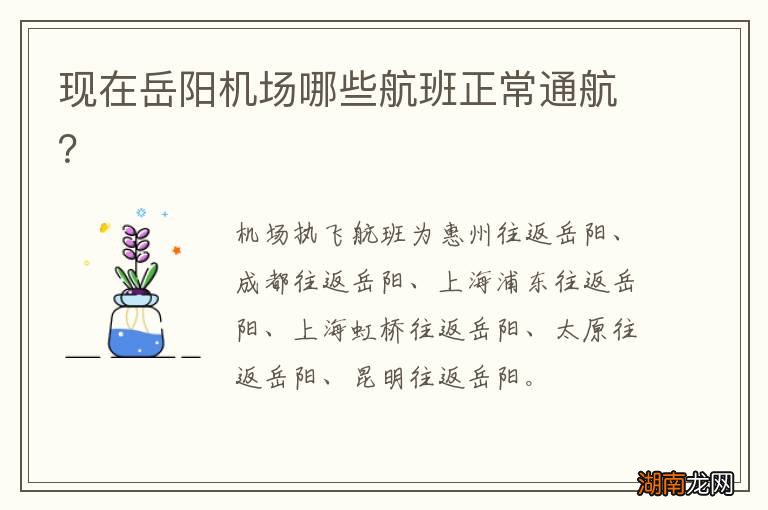 现在岳阳机场哪些航班正常通航?