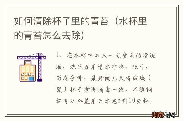 水杯里的青苔怎么去除 如何清除杯子里的青苔
