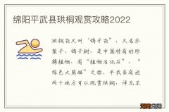 绵阳平武县珙桐观赏攻略2022