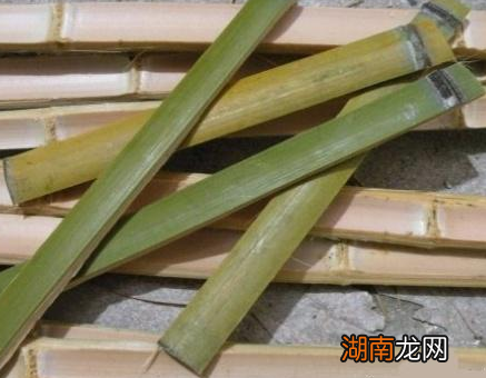 古代没有卫生纸的年代 古人上厕所到底用什么东西