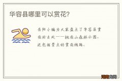 华容县哪里可以赏花？