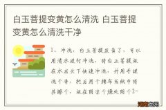 白玉菩提变黄怎么清洗 白玉菩提变黄怎么清洗干净