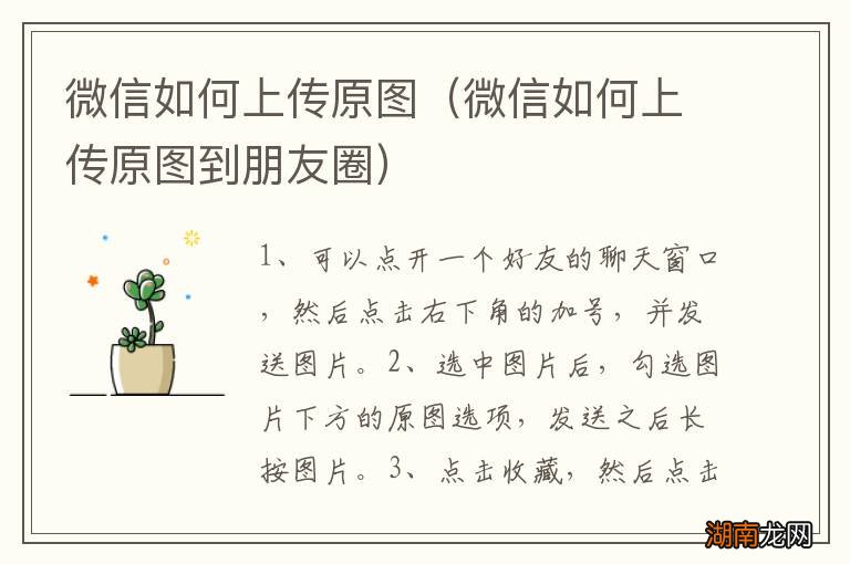 微信如何上传原图到朋友圈 微信如何上传原图