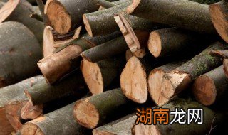 木材材质有哪些 各种木料怎么区分材质