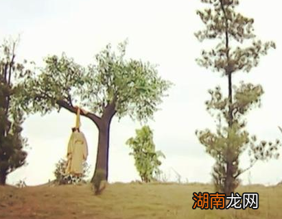 崇祯苦苦的哀求大臣捐钱 崇祯为什么不直接去抄家来的快一点