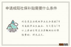 申请咸阳社保补贴需要什么条件