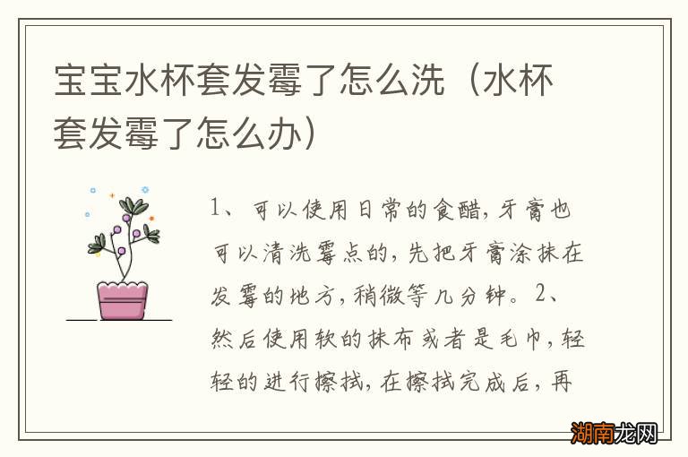 水杯套发霉了怎么办 宝宝水杯套发霉了怎么洗