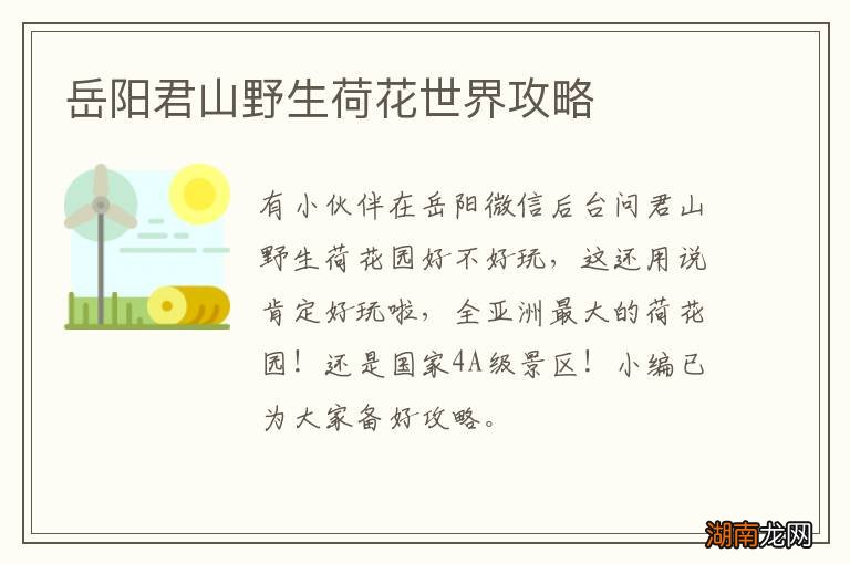 岳阳君山野生荷花世界攻略