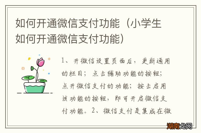 小学生如何开通微信支付功能 如何开通微信支付功能