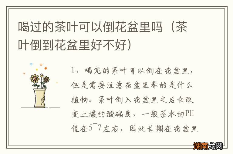 茶叶倒到花盆里好不好 喝过的茶叶可以倒花盆里吗