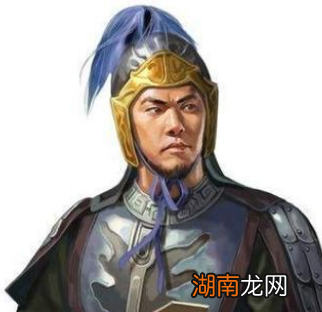 魏灭蜀之战时,霍弋和罗宪在做什么?为何没去支援?