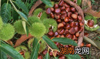 扳粟怎么剥皮 扳粟怎么剥