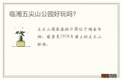 临湘五尖山公园好玩吗？