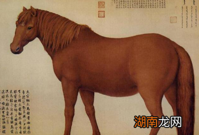 汉武帝劳师远征大宛，只是为了汗血宝马？