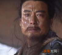 赵云,魏延和马谡相比 诸葛亮为什么非要派马谡去镇守街亭