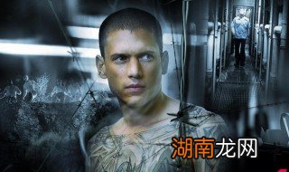 越狱第四季大结局是什么 越狱第四季大结局