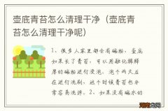 壶底青苔怎么清理干净呢 壶底青苔怎么清理干净