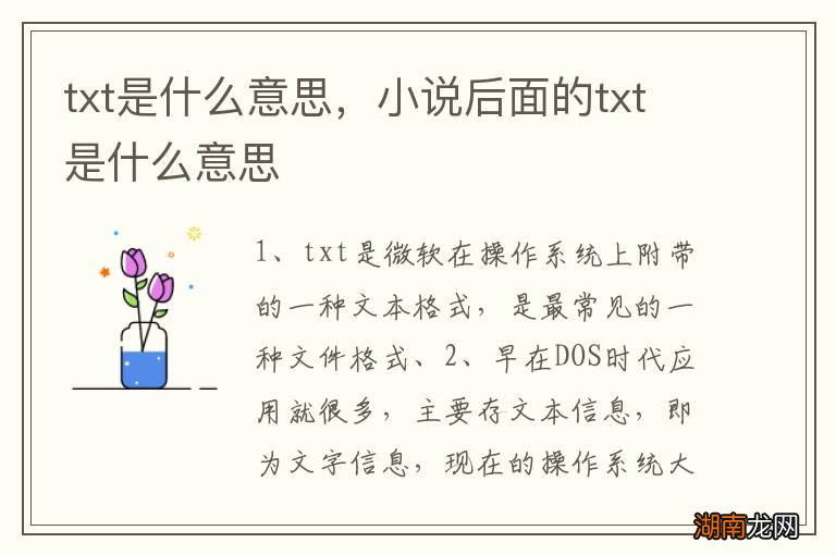 txt是什么意思，小说后面的txt是什么意思