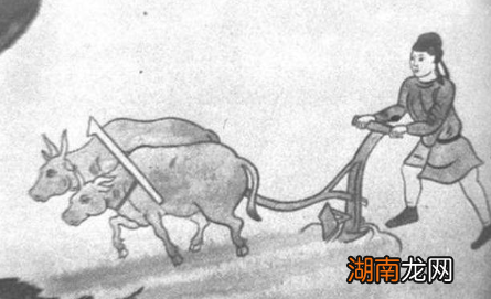 在中国古代,私自宰杀牛是犯法的吗?