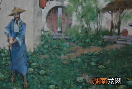 西瓜是什么时候传入我国的?原产地是哪里?