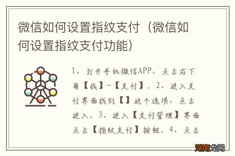 微信如何设置指纹支付功能 微信如何设置指纹支付
