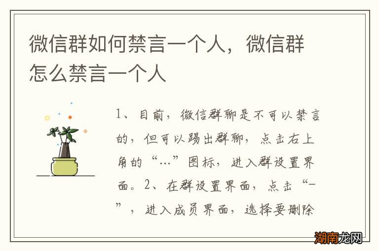 微信群如何禁言一个人,微信群怎么禁言一个人