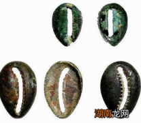 古代贝壳能够当钱 古人为什么不去多捡一点