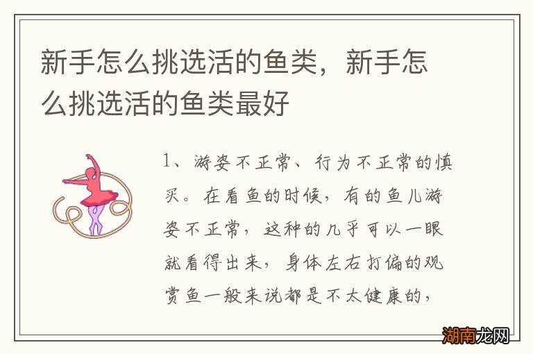 新手怎么挑选活的鱼类，新手怎么挑选活的鱼类最好