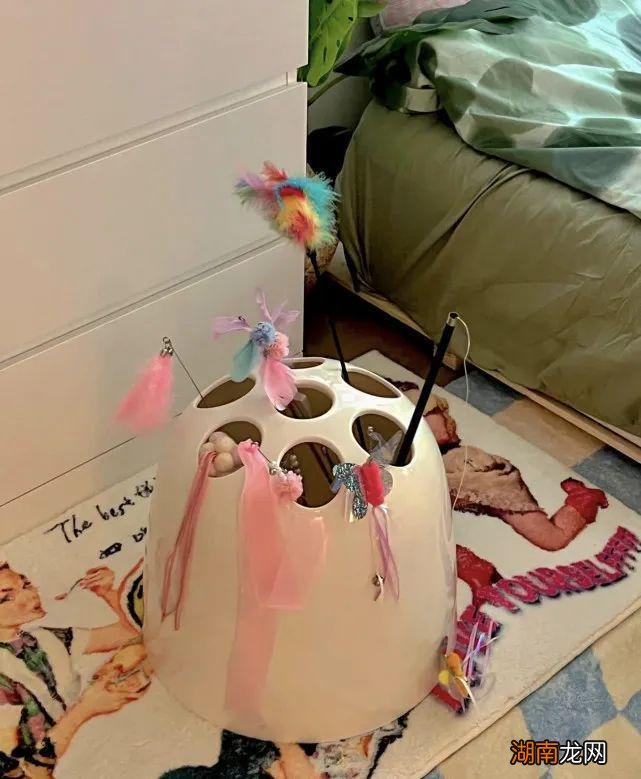 能给家里装这些物件的，起码也得是个90后，年龄大的人理解不了