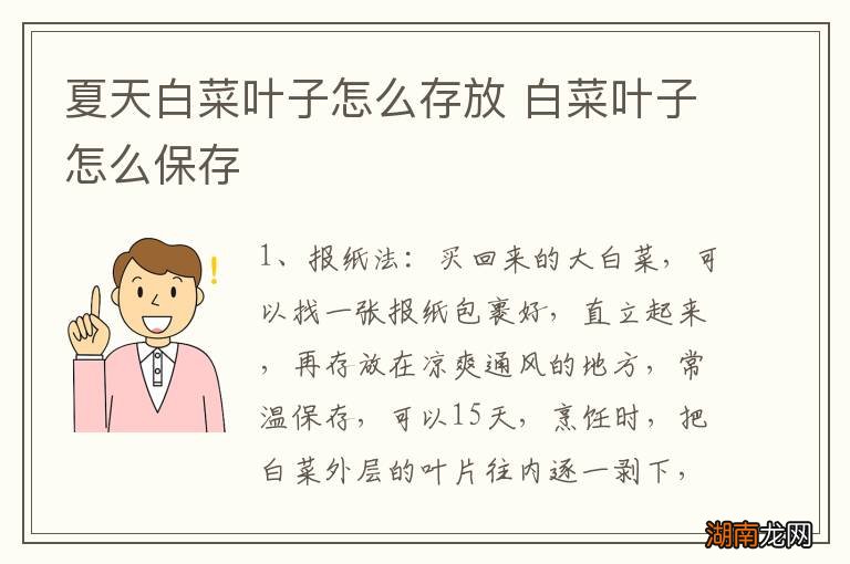 夏天白菜叶子怎么存放 白菜叶子怎么保存