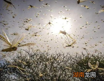 古代什么时候会大赦天下 什么样的牢犯都会赦免吗