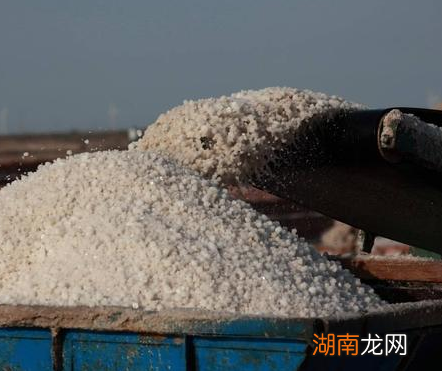 古代真实穷人都吃什么 电视剧拍的都是真的吗