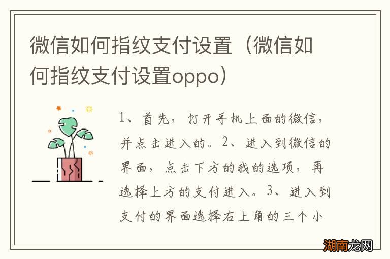 微信如何指纹支付设置oppo 微信如何指纹支付设置