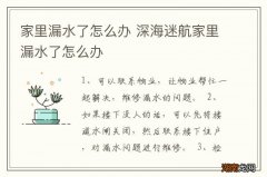 家里漏水了怎么办 深海迷航家里漏水了怎么办