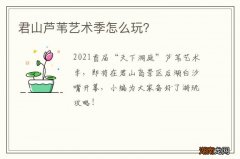 君山芦苇艺术季怎么玩？