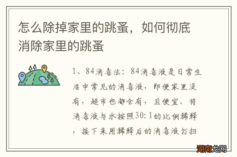 怎么除掉家里的跳蚤,如何彻底消除家里的跳蚤