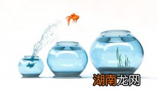 家里的鱼缸怎么摆放好 家里的鱼缸怎么摆放