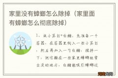 家里面有蟑螂怎么彻底除掉 家里没有蟑螂怎么除掉