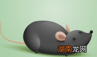 如何清除家里老鼠 家里养老鼠怎么除掉