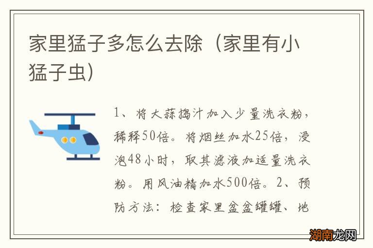 家里有小猛子虫 家里猛子多怎么去除