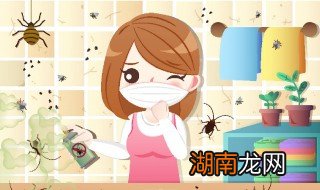 家里有小猛子虫 家里猛子多怎么去除