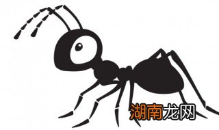 夏天家里怎么防止蚂蚁,夏天家里有蚂蚁怎么办