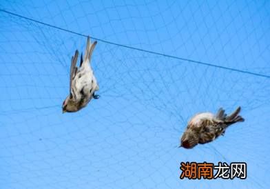 古人的环保意识如何?他们有哪些环保举措?