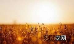 秋天十大绝美诗句 秋天的祝福语