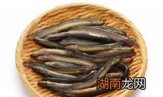 泥鳅晚上怎么钓鱼最好，泥鳅晚上怎么钓鱼最好钓到