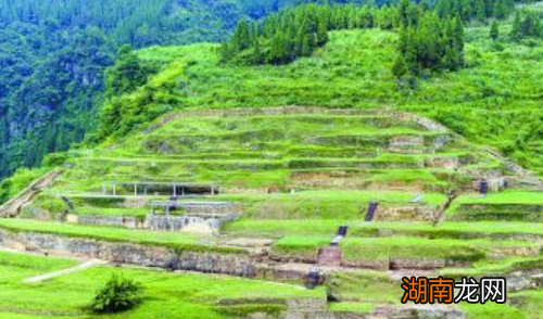 太平公主的次子薛崇简曾去了哪里漂泊?